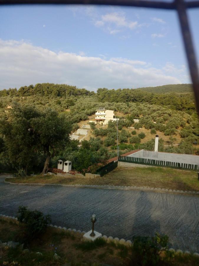 Villa Krini Skiathos Town Ngoại thất bức ảnh