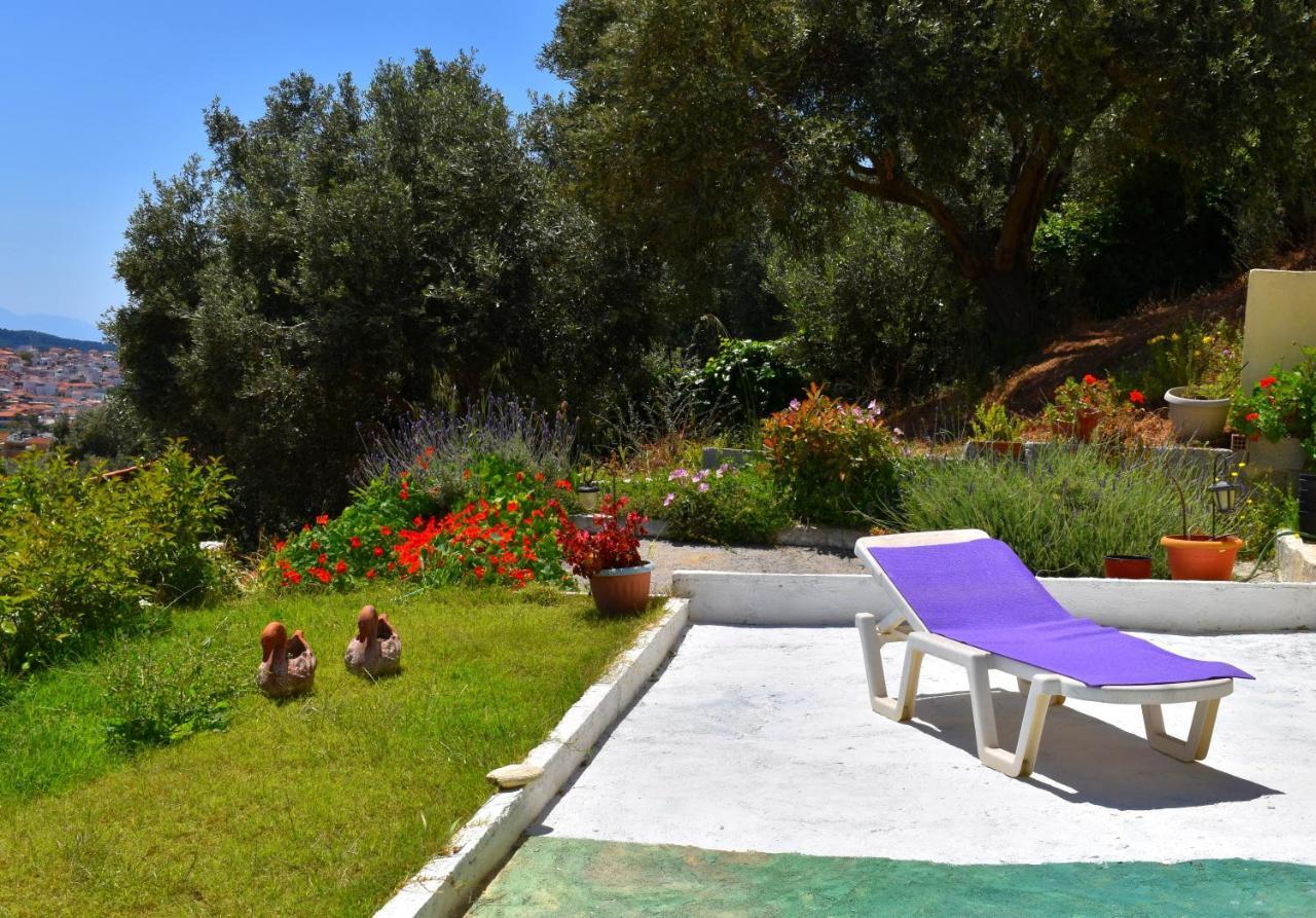 Villa Krini Skiathos Town Ngoại thất bức ảnh