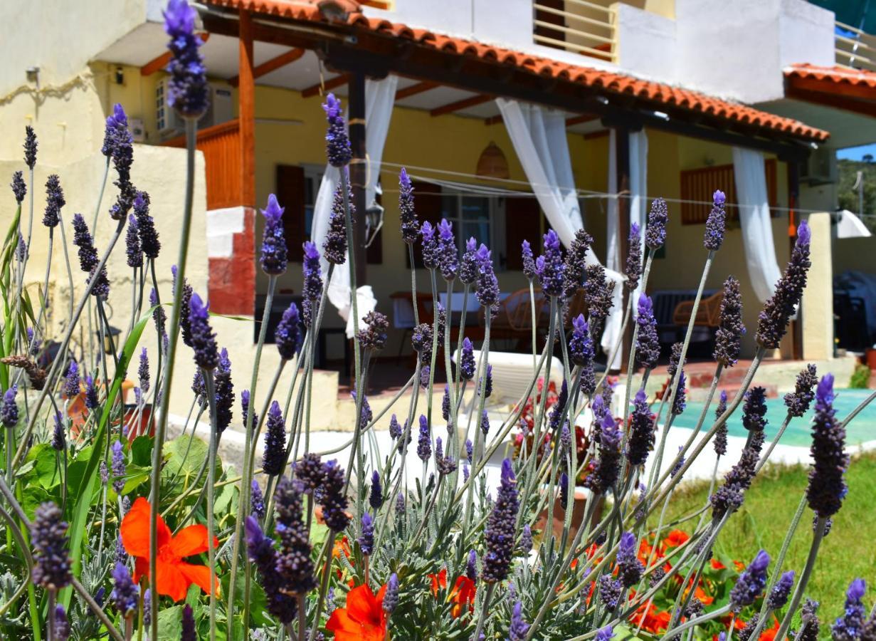 Villa Krini Skiathos Town Ngoại thất bức ảnh