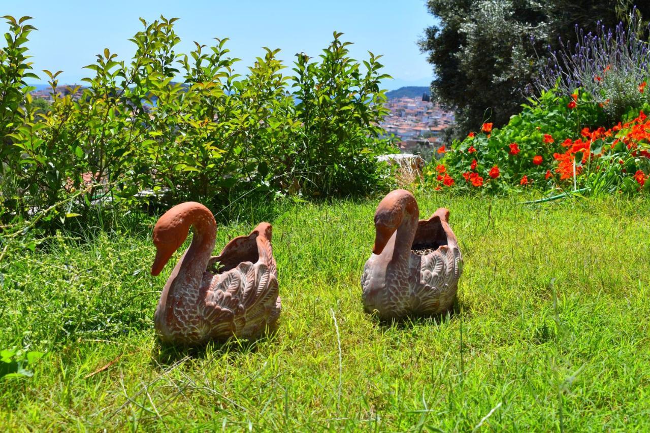 Villa Krini Skiathos Town Ngoại thất bức ảnh