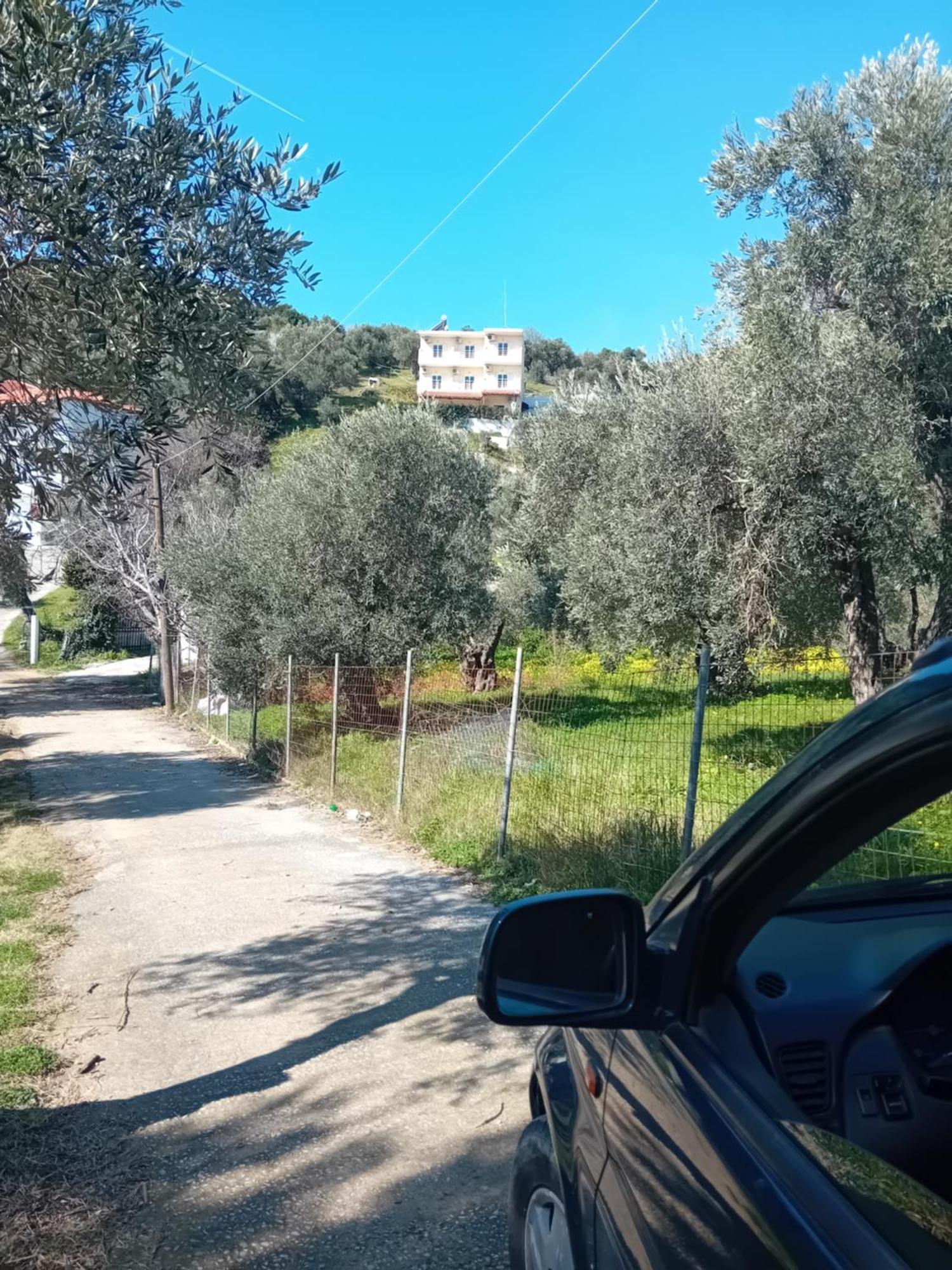 Villa Krini Skiathos Town Ngoại thất bức ảnh