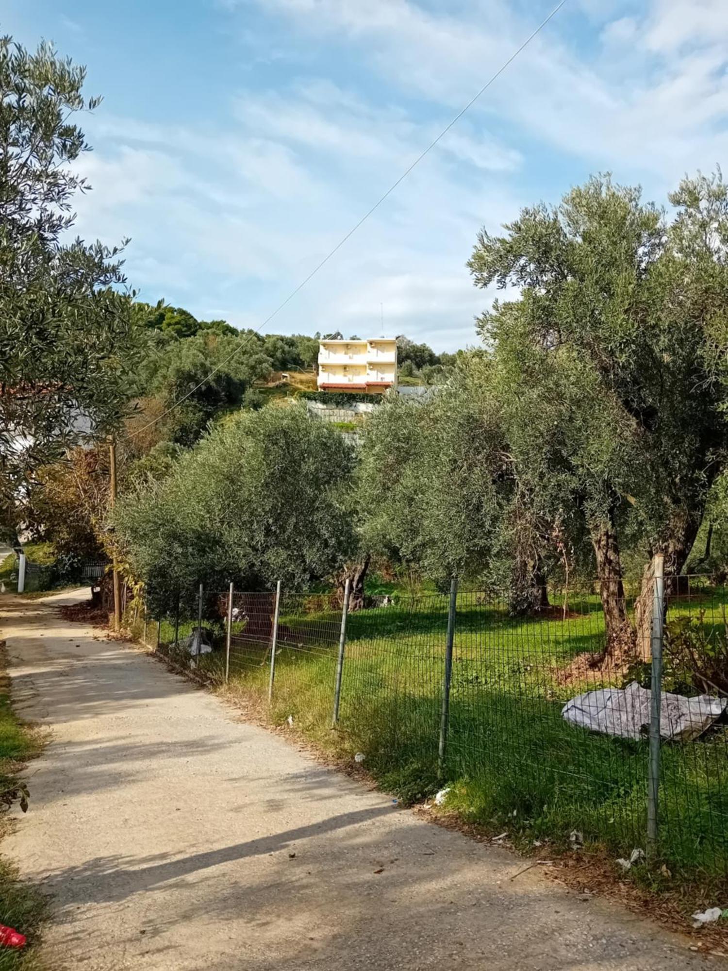 Villa Krini Skiathos Town Ngoại thất bức ảnh