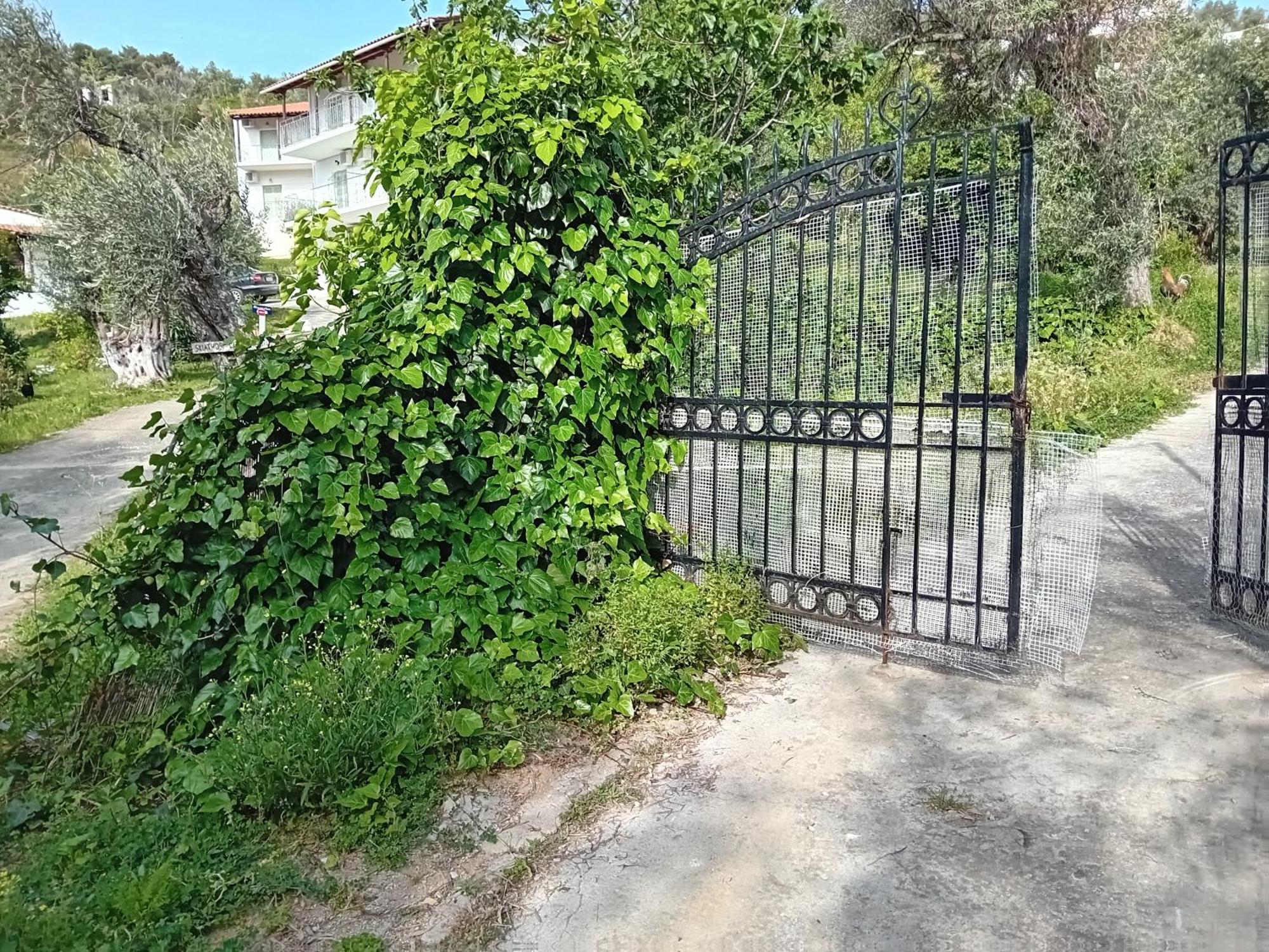 Villa Krini Skiathos Town Ngoại thất bức ảnh
